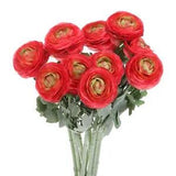 Artificial Ranunculus Flowers, 10 Stems Faux Permanent Flower Floral, Light Red