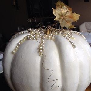 10 seeds Polar Bear  Pumpkin Organic Seed