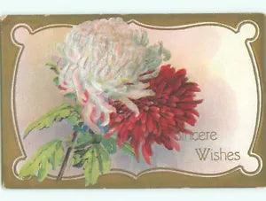 Pre-Linen BEAUTIFUL RED AND WHITE CARNATION FLOWERS : : make an offer k4869