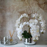 Lifelike orchid and willow arrangement. Luxury lifelike phalaenopsis white orchid arrangement