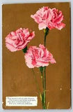 Greetings~The World Is Filled W/ Flowers~Pink Carnations~PM 1909~Vintage PC