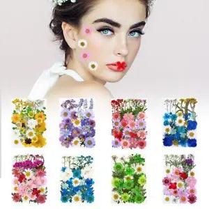 Dry Flower Embossing Paste Face Decoration Eye Petal Make-up Bride Girls US New