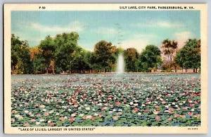 Parkersburg, West Virginia WV - View Of Lily Lake City Park - Vintage Postcard