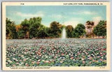 Parkersburg, West Virginia WV - View Of Lily Lake City Park - Vintage Postcard