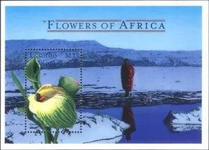 Lesotho 2000 Flowers of Africa/Green Arum Lily/Flower/Plants 1v m/s (n18773a)