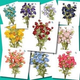 Mini Ranunculus Bush, 10 exciting colors, Navy, Coral, French Blue, Blush, Hot Pink, Yellow, Purple, Lavender, Burgundy, Turquoise
