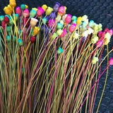 200PCS~ 0.3CM Head Real Dried Natural Mini Flower Branch Dry Happy Flower...