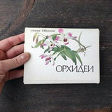 Orchids Soviet Vintage Postcards set 16 illustrations with descriptions Rare  Botanical postcards