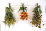 Dried Flowers - 3 Bunches Ready to Hang - Goldenrod, Marigolds, Rudbeckia