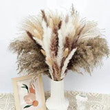 1 Bunch Natural Pampas Grass Real Reed Bunny Tail Grass Home Decor Party DIY