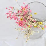 50pcs DIY Daisy Craft Dried Mini Flowers Decorative Star Bouquet P6Dczx U5M7