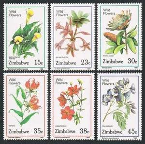 Zimbabwe 582-587,MNH.Michel 400-405. Wildflowers 1989.Flame Lily,Protea,Hibiscus