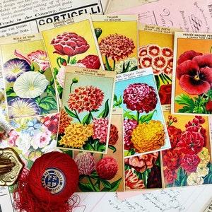 1920s French Flower Seed Labels