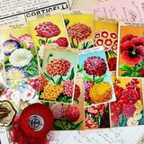 1920s French Flower Seed Labels