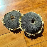 Organic Dried Sunflower Head