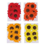 6 Pieces Pressed Natural Real Dried Flowers  for resin Ornament Craft Christmas