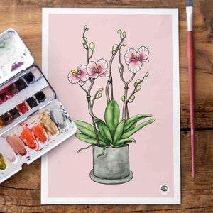 Orchid poster, A4, hand-painted houseplant, nature illustration, decoration, print, illustration, decor, special gift, Christmas