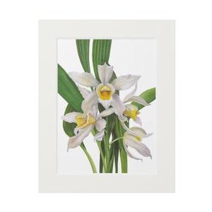 orchids. watercolor flower print. Artist Olha Mi Corazon. Original Watercolor paintings. Floral wall art. Botanical room decor Orchids