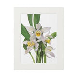 orchids. watercolor flower print. Artist Olha Mi Corazon. Original Watercolor paintings. Floral wall art. Botanical room decor Orchids