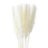 10PC Natural Dried Pampas Grass Reed Flower Bunch Bouquet Wedding Home R1P6 K8D0