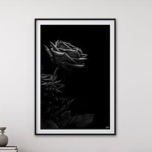 Spring Home D¡§?cor - Unique Fine Art Photography - Rose Floral Wall Art - Gothic Gift - Pressed Flower Art Luxury Art Print Ready to frame