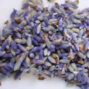 Lavender vera seeds, 500 seeds =0.5 gr, code 350,gardening, lavandula spica