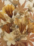 Pressed Dried Floral Art (Framed & Matted) 14 X 11.5