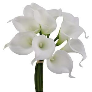 GA,USA-Real Touch calla lily-choose color White , Ivory