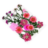 1 Set Dried Flowers for Resin Jewelry Pressed Flower Jewelry Kit Daisies Pressed