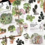 Green plant research institute series 30pcs PET stickers (INSTOCK)