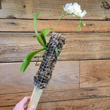 Orchid Moss Pole (Orchid Not Included)