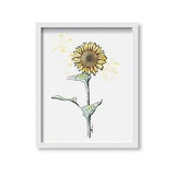 Gold Sunflower - Flower Illustration, Art, Fine Art, Wall Art Print, Poster Illustration, Nature,Botanicals, Plants, Floral, Flower