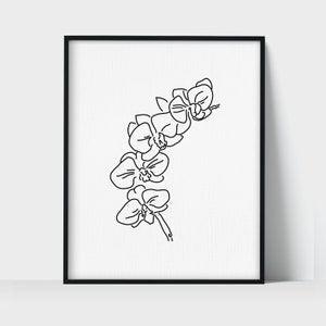 Flower Orchid - Botanical Line Art Drawing Unframed Print