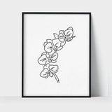 Flower Orchid - Botanical Line Art Drawing Unframed Print