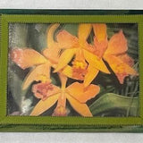 Framed Art - Orchid Fantasy, Double layer photograph creates a dimensional look. Framed. Ready to hang.