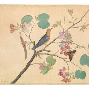 Antique Asian bird painting, Bird in tree art print, Nature wall art, Thrush, Death's Head Moth, Flowering tree, Bird on branch, Orchids
