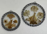 Pressed Dried Neutrals Flowers Round Glass & Metal Frame Suncatcher Wall Decor