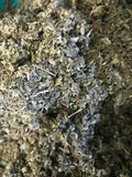 Mullein + Marshmallow + Raspberry Leaf - Healing Organic Herbal Mix - 1 lb Pound