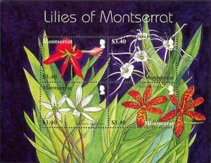 Montserrat 2007 Lilies/Flowers/Nature 4v m/s (n26438)