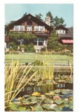 Lily Pond And Pavilion, Stanley Park, Vancouver BC, Vintage Chrome Postcard