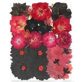 OECCO Large Dried Pressed Flower for Resin, Big Real Nature Pressing Black Red