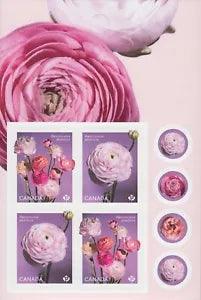 RANUNCULUS - PERSIAN BUTTERCUP = BACK Booklet page of 4 stamps Canada 2023 MNH