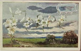NEW LISTINGVintage Postcard 1909 Language of Flowers White Lily Peace Cloudy Field Cancel