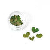 20PCS Real Pressed Dry heart shape leaves for art, candle, handcraft FCD22