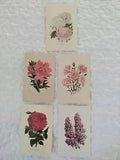 5 Flower Print Postcards Botanicals Decor Rose Lilac Carnations Azalea Mums Art