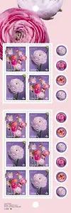 CANADA 2023 RANUNCULUS BOOKLET 10 STAMPS FLOWERS SPRING GARDEN PERSIAN BUTTERCUP
