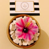 Orchid tealight in hand painted terracotta plant pot
