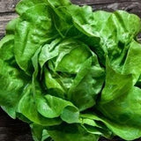 Lettuce - Queen of May 2g - 500 NON GMO Seeds - Lactuca Sativa