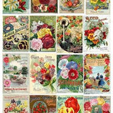 Vintage Seed Catalog, Vintage Flower Art, Flower Seeds, Flower Art Print, Flower Poster, Gardeners Gift, Retro Art, Gardening, Colorful Art
