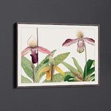 Orchid Flower by Tanigami Konan Canvas Wall Art & Poster Print [5:7]